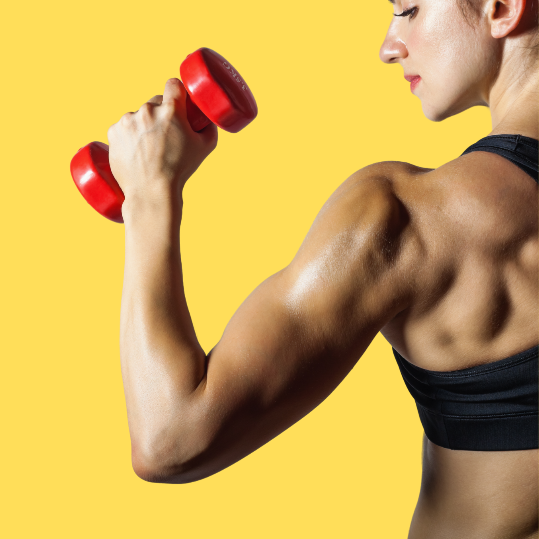 Sport & Fitness
